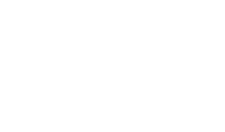 Community Health System