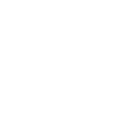 vision icon