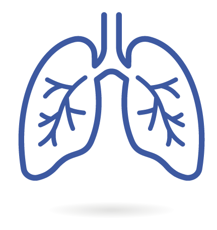 Lung icon